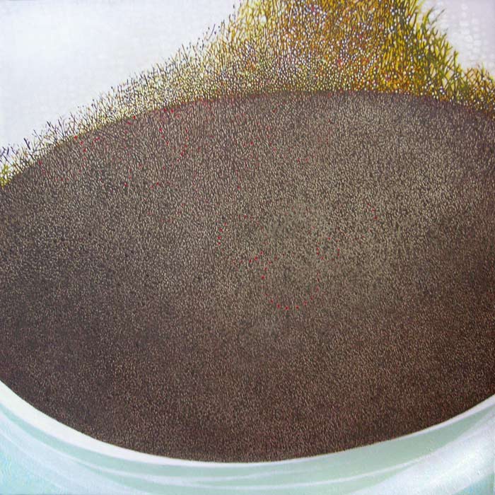 Untitled, 2010, 32 inches x 32 inches